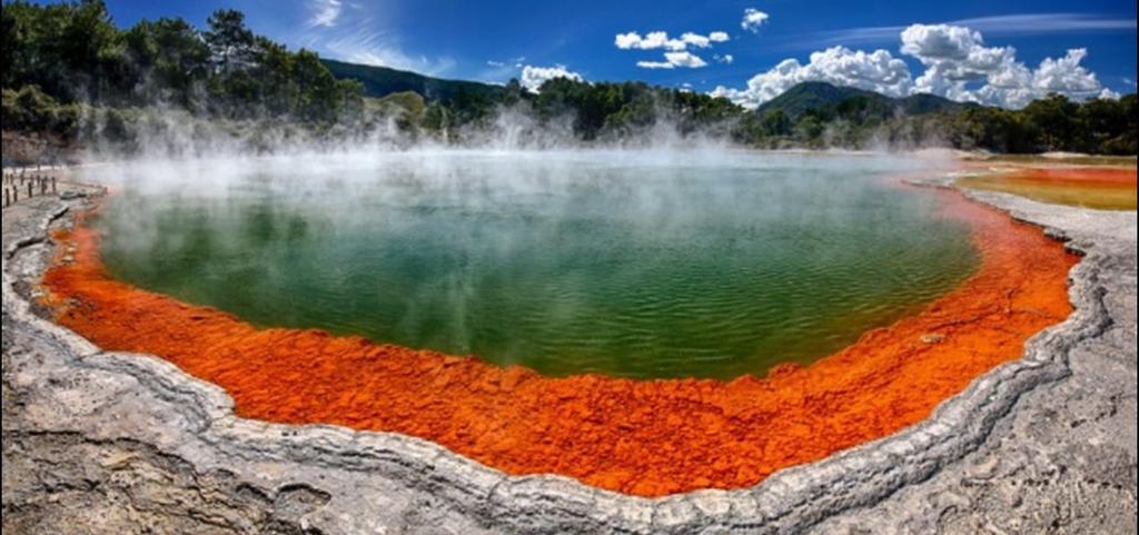 Great View Near Rotorua Lake Exterior foto